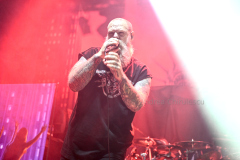 DSC4678