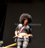 DSC_9517