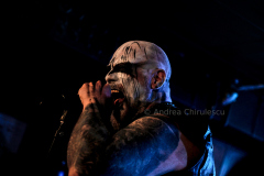 DSC2583