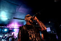 DSC2684