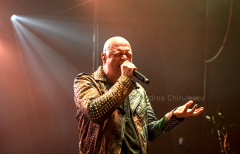 DSC8517