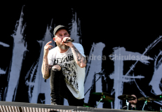DSC_3648