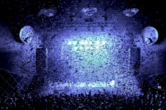 DSC5288