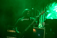 DSC4523