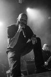 Cradle-30
