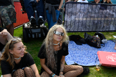 DSC3729