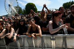 day3_crowd_DSC4045