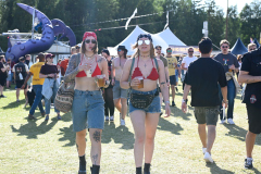 day3_crowd_DSC4300