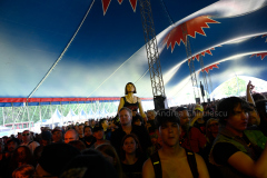 DSC6405