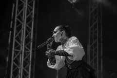 ToR_D4-033
