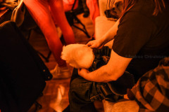DSC_7432