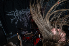 Void-29