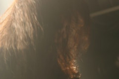 9d9d41d9b34cc0f38a3dc349b8f0ece0