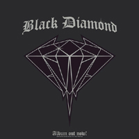BLACK DIAMOND BRIGADE – Black Diamond
