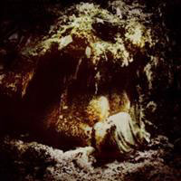 WOLVES IN THE THRONE ROOM – Celestial Lineage