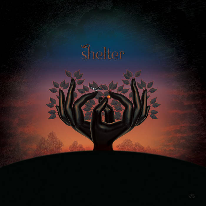 LAUGHING STOCK – Shelter