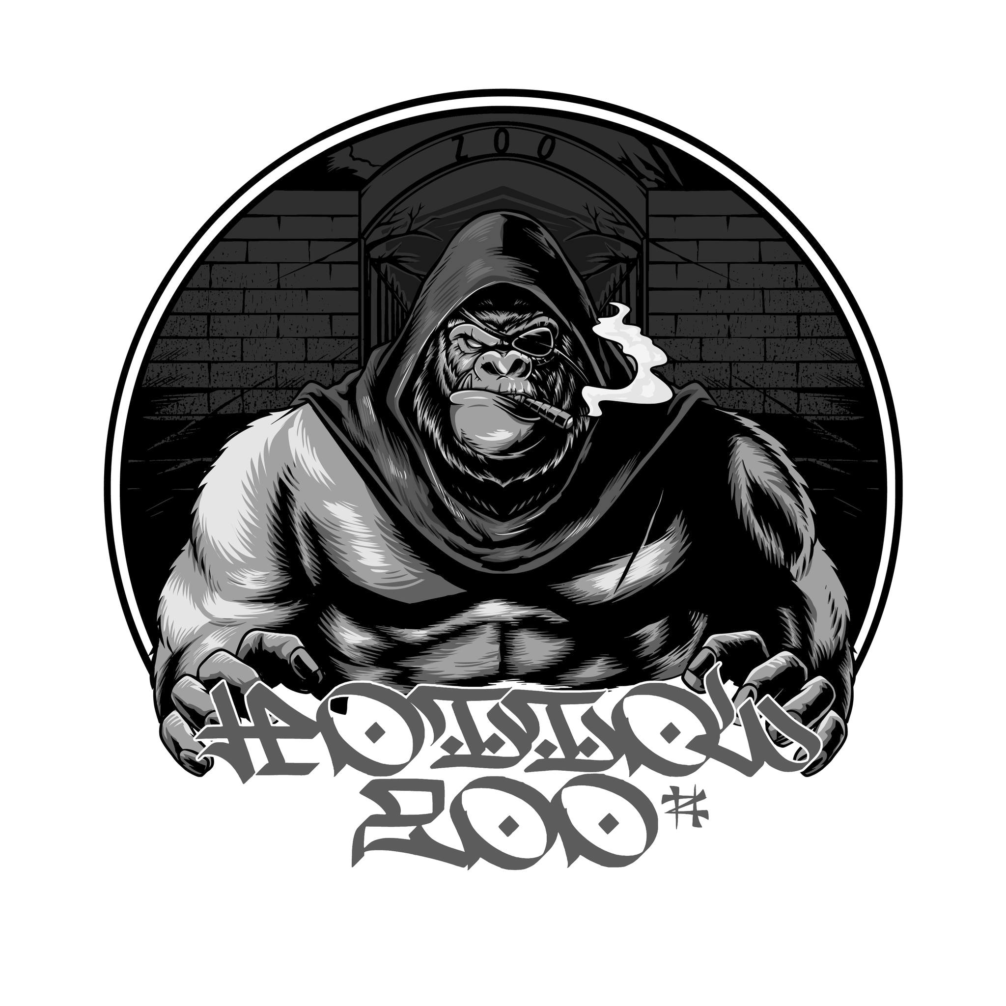 HOLLOW ZOO – interview